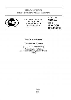 ГОСТ Р 55905-2013