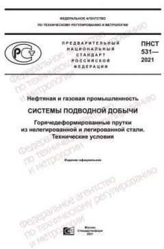 ПНСТ 531-2021